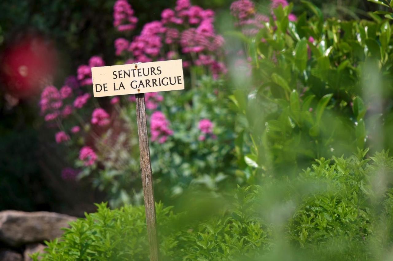 Maison De Village La Clemaline Figanières Exteriör bild